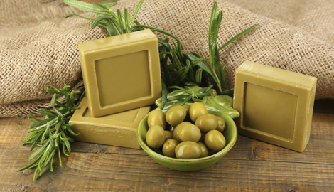 Mauris in dui lobortis